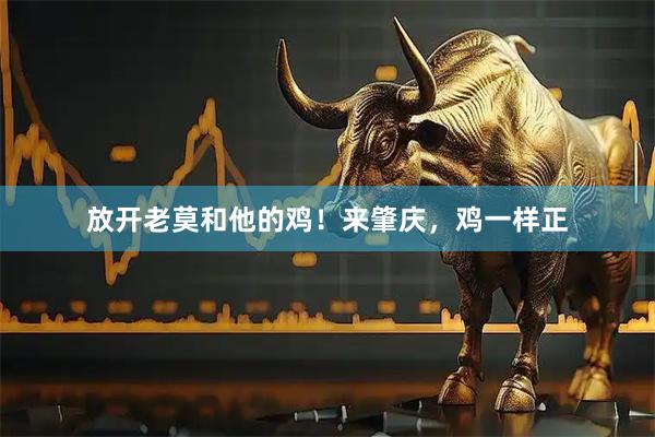 放开老莫和他的鸡！来肇庆，鸡一样正