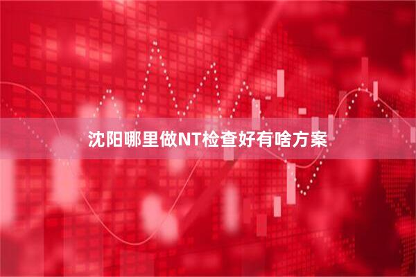 沈阳哪里做NT检查好有啥方案